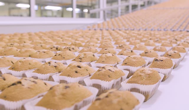 Realizzazione video Industriale Trivi - Cake line system