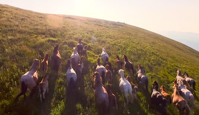 Produzione video Corporate Istituzionale ORS Group