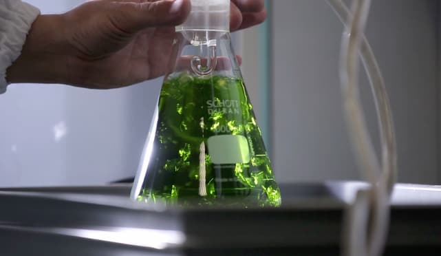 Produzione video istituzionale industriale AD Tubi