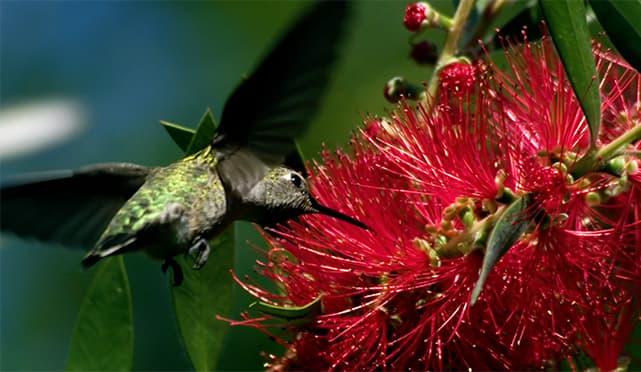 Produzione video slow motion per esterne - reel