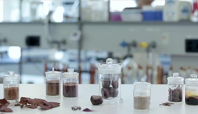 Realizzazione video Corporate Aziendale Ginsana