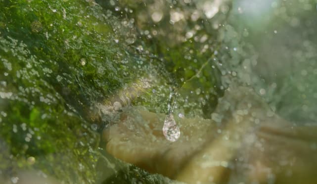 Produzione Spot TV Pubblicitario Termoacqua per Telelombardia