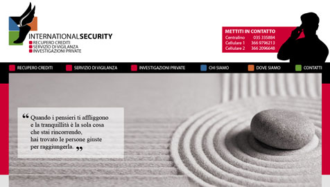 International Security